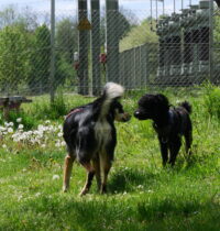 Vatertag in Venauen